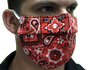 Red Paisley Mask - Adult